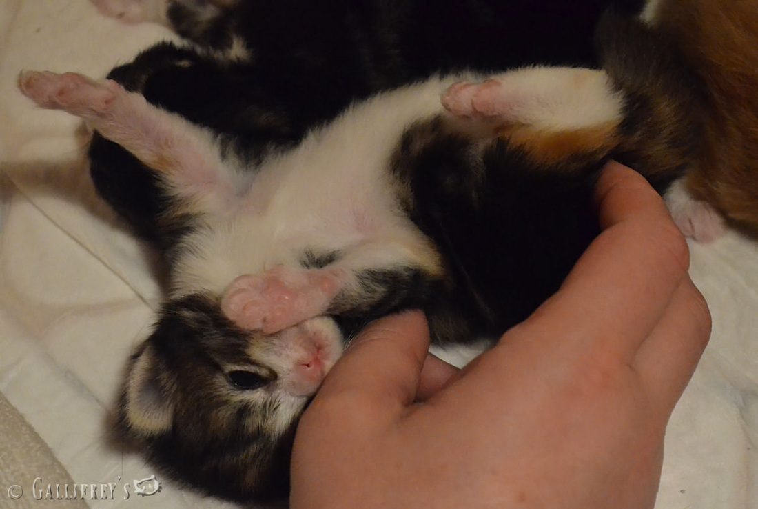 KY开元集团官网