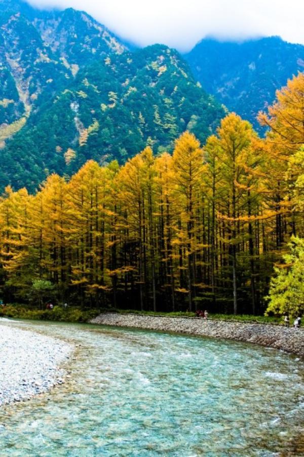 KY开元集团官网