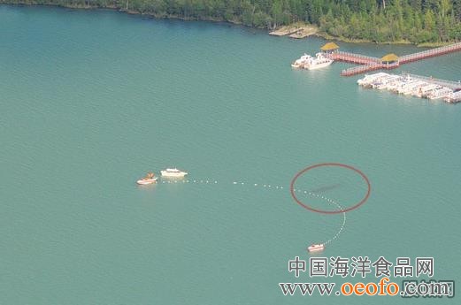 ky开元集团官网入口