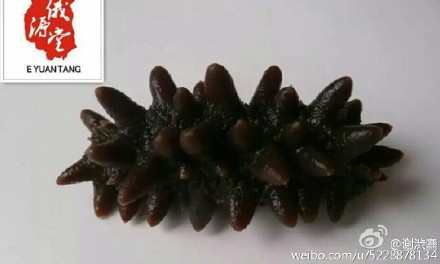 KY开元·(中国)集团