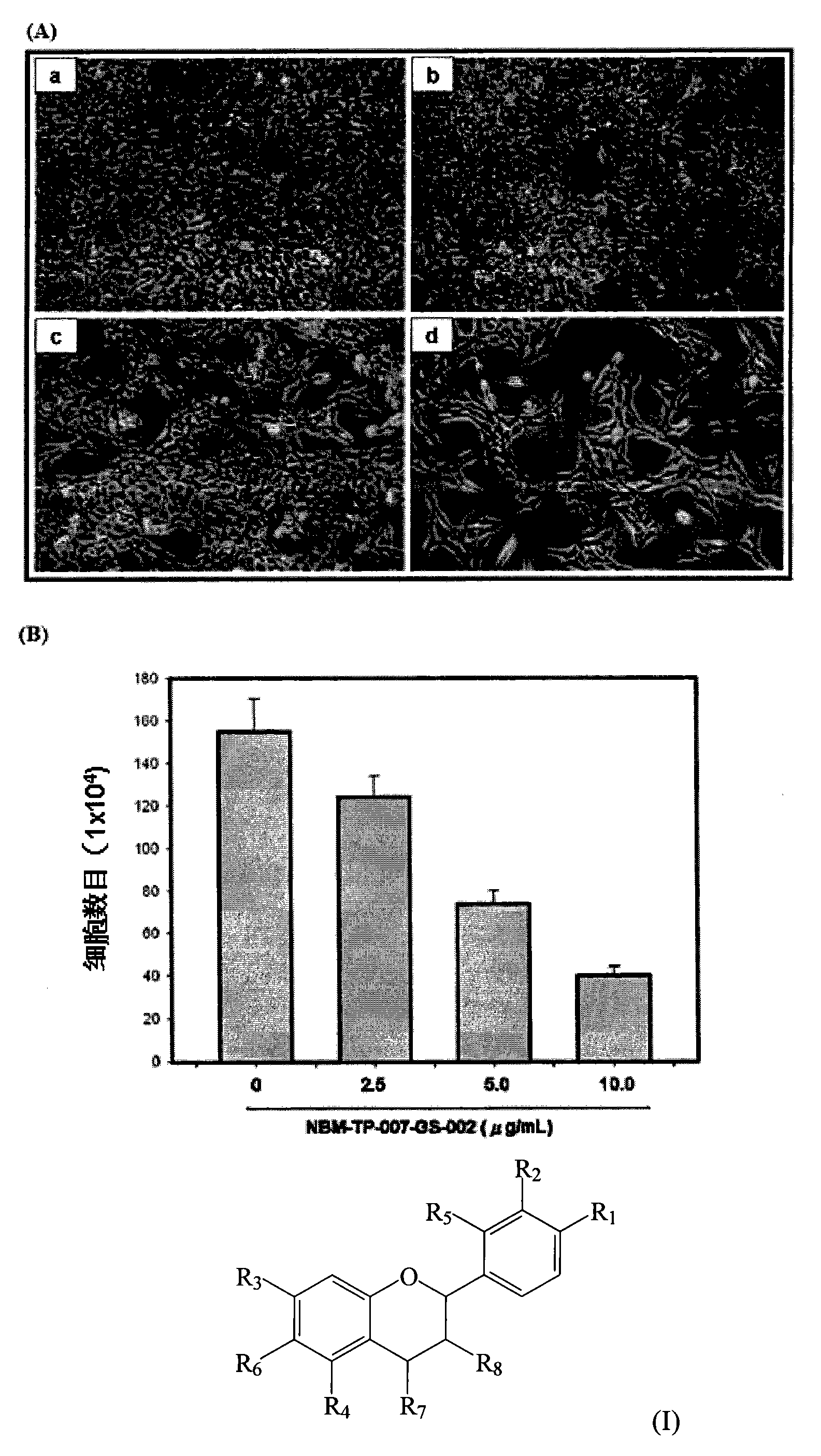 ky开元·(中国)集团官网