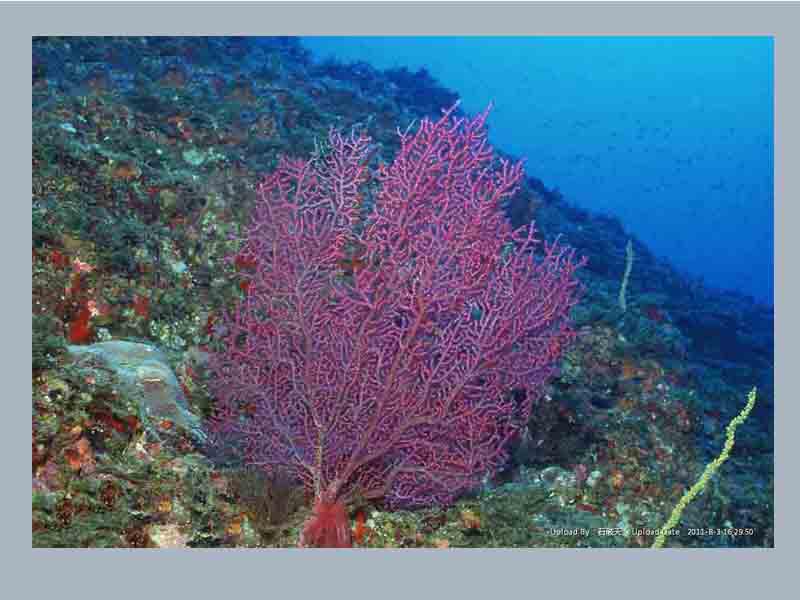 KY开元·(中国)集团