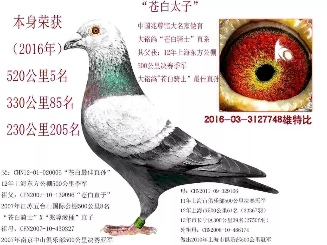ky开元集团官网入口