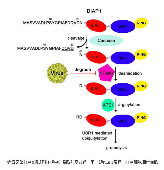 ky开元·(中国)集团官网